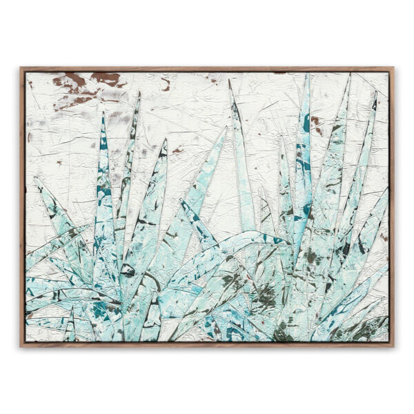 Study of Blue Agave by Douglas Galloway