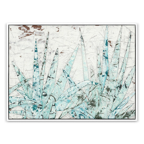 Study of Blue Agave by Douglas Galloway