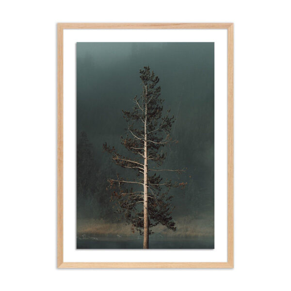 Winds I by Mandy Steinback, Large