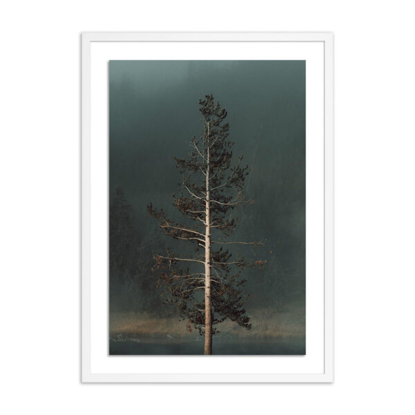 Winds I by Mandy Steinback, Large