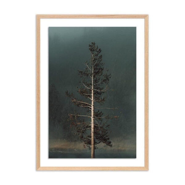 Winds I by Mandy Steinback, Medium