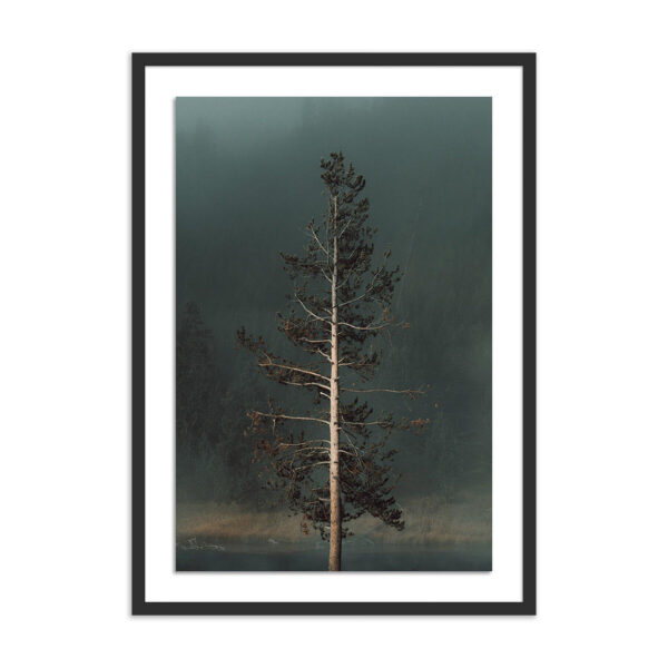 Winds I by Mandy Steinback, Small