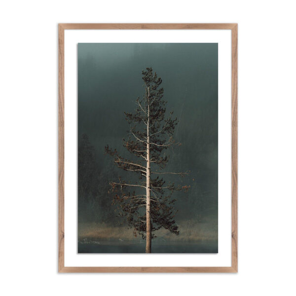 Winds I by Mandy Steinback, Small