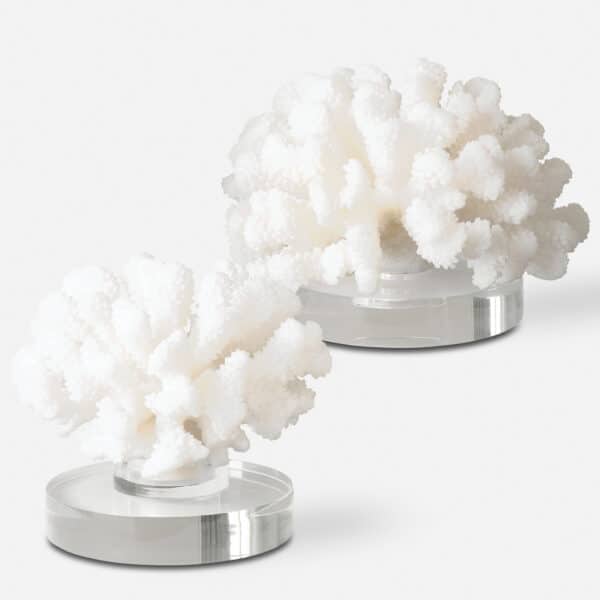 Hard Coral Sculpture, Set of 2
