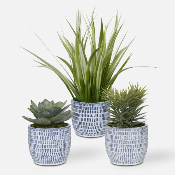 Puebla Greenery, Set of 3