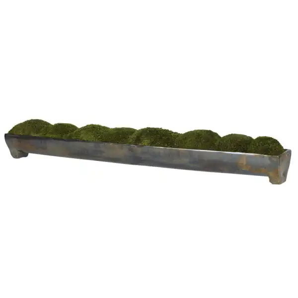 Canal Moss Centerpiece