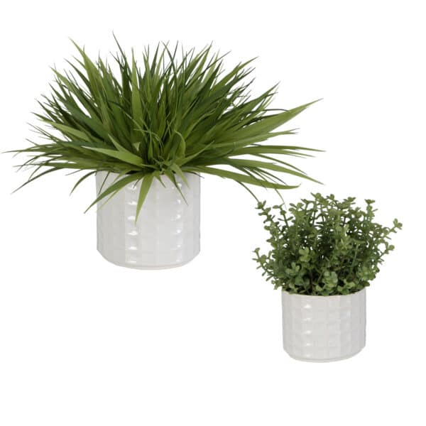 Edgewood Greenery, Set of 2