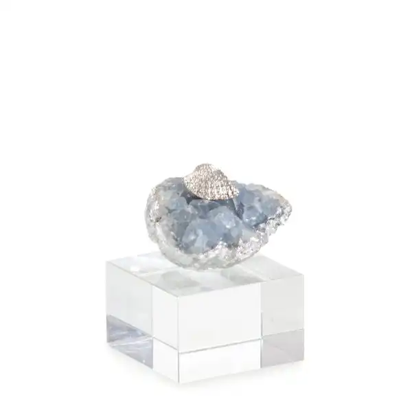 Ocean Floor Sculpture on Crystal Base III