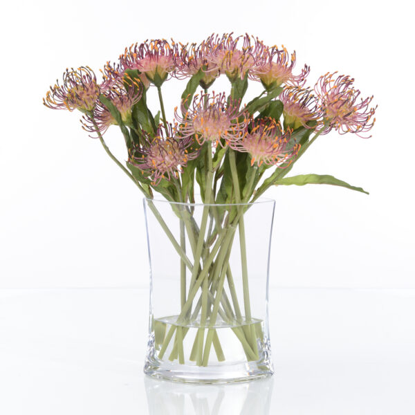 Cushion Protea