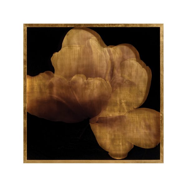 Mark McDowell’s Kin Saki