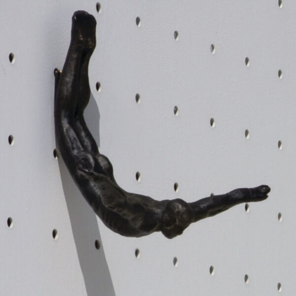 Wall Diver