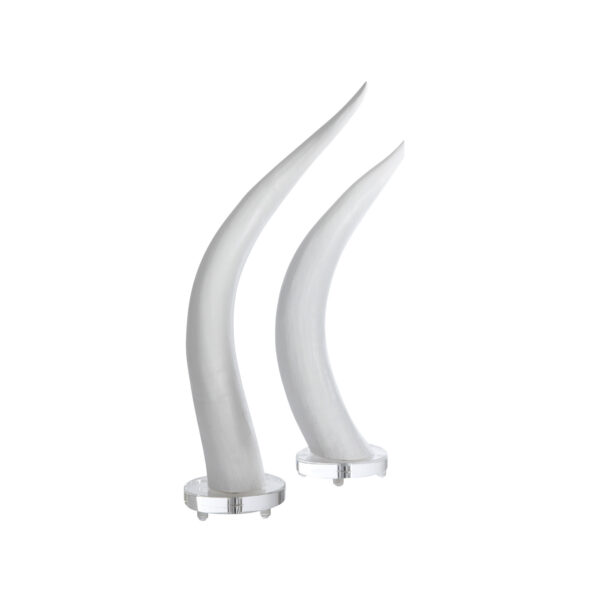 Horns, Set of 2