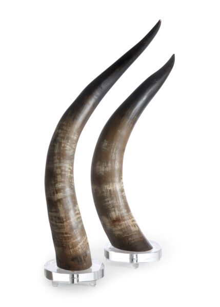 Horns, Set of 2