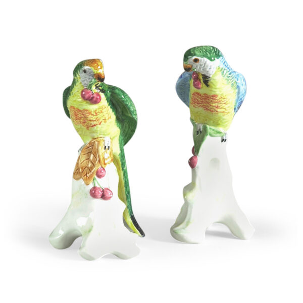 Parrot with Cherries, Set of 2