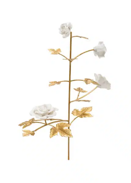 Rose Stem