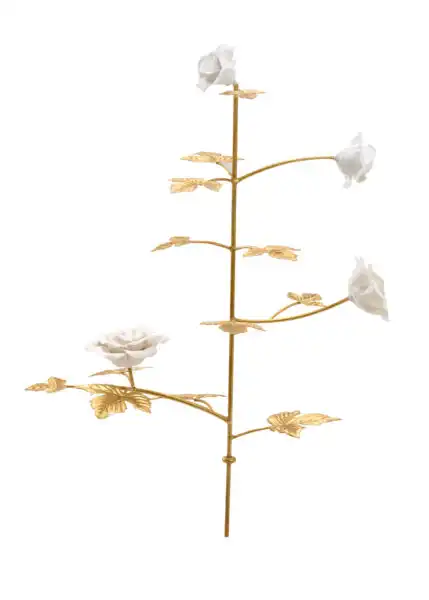 Rose Stem