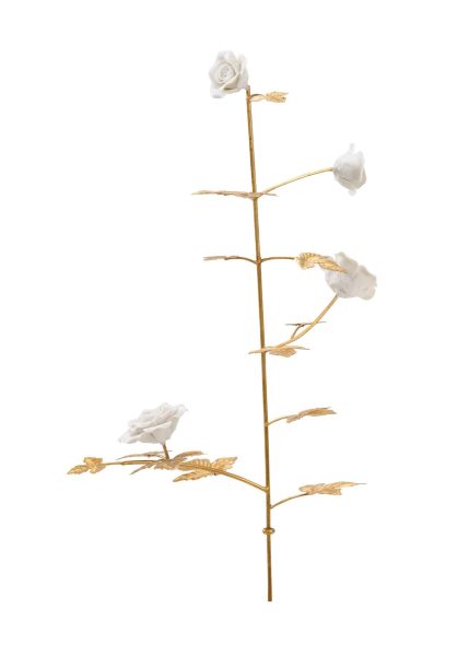 Rose Stem