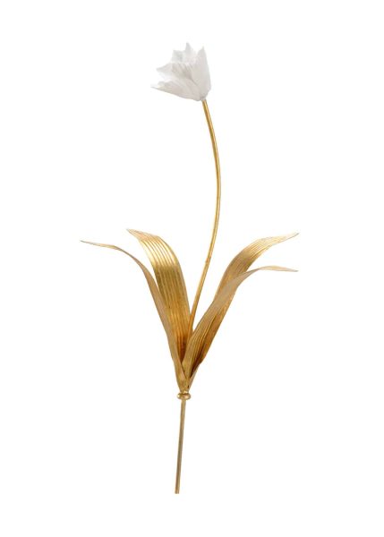 Tulip Stem
