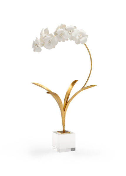 Orchid on Stand