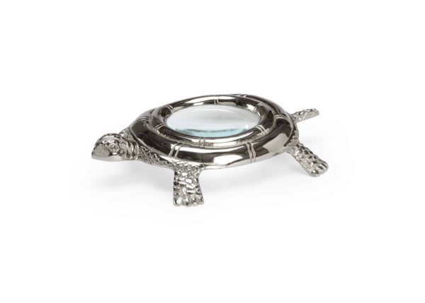 Turtle Magnifier