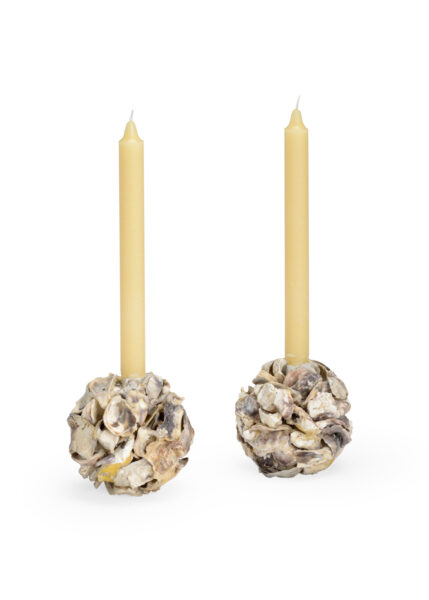 Oyster Shell Candle Holder, Set of 2