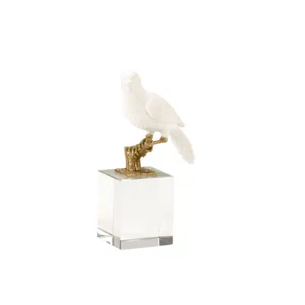 Parrot on Crystal, Square, Small