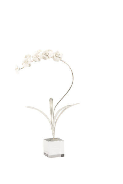 Orchid on Stand, Medium