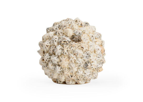 Shell Ball, Large