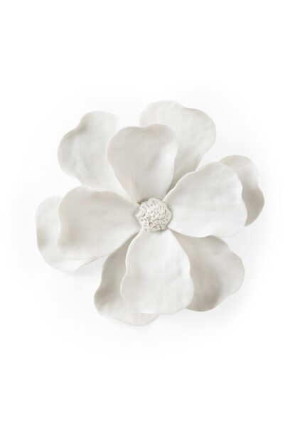 Camellia Wall Flower