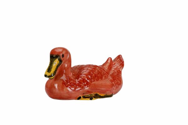 Small Duck