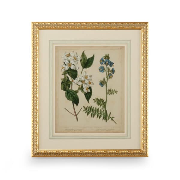 Cottage Florals