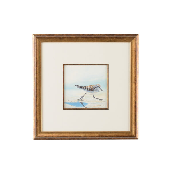 Sand Piper IV