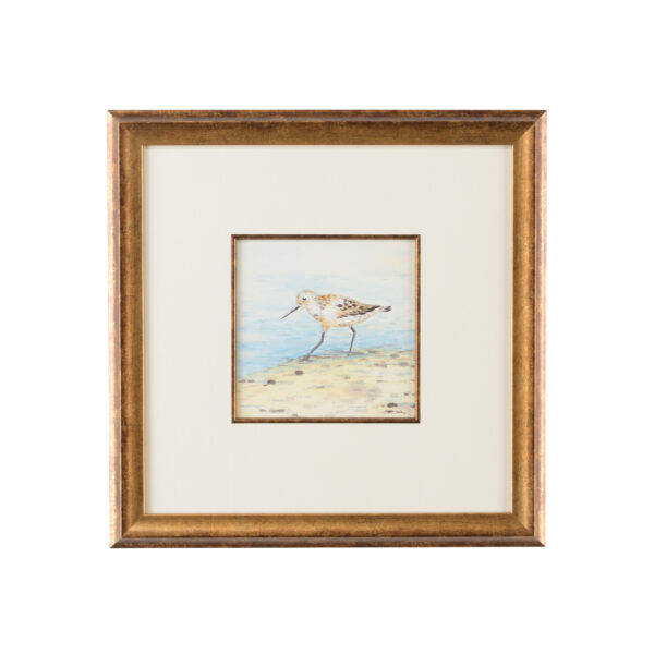 Sand Piper V
