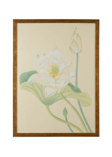 Lotus Panel