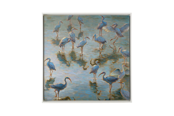 Shorebirds