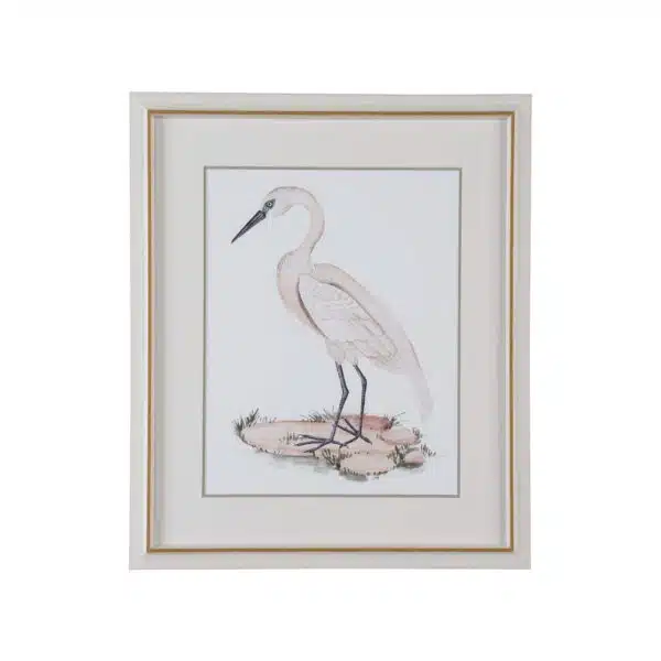 A White Heron