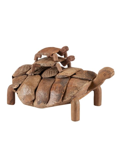Turtles, Set of 3