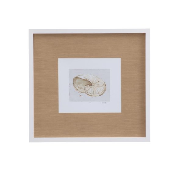 Neutral Shell Fresco Framed Print