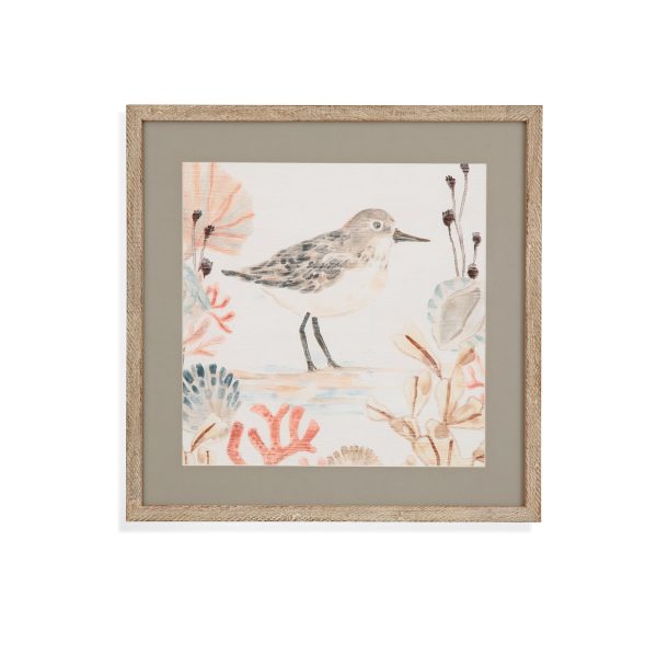 Shell Pipers Framed Print