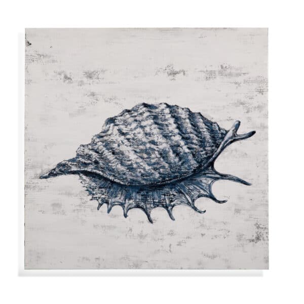 Shell Canvas Art