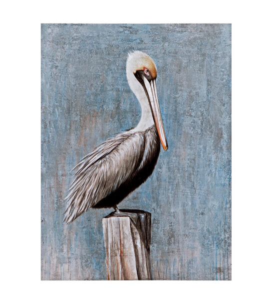 Pelican Wall Art