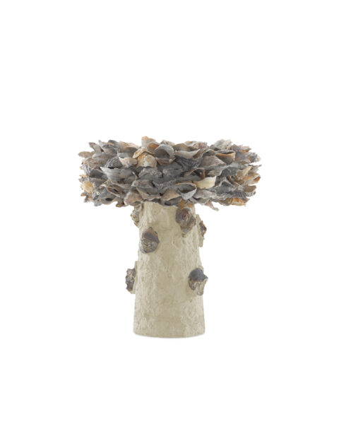 Oyster Shell Bird Bath