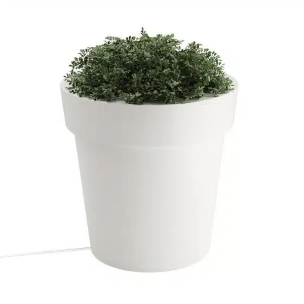 Extra Large Lighted Planter