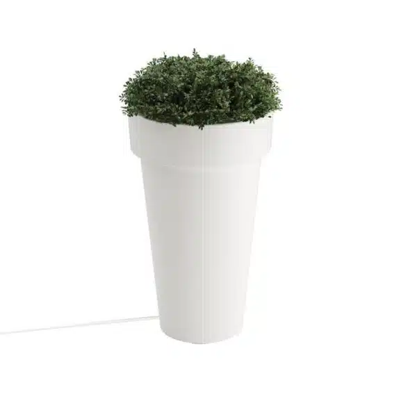 Large Lighted Planter