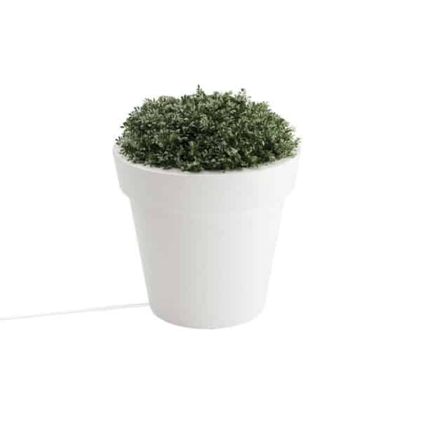 Small LED Planter