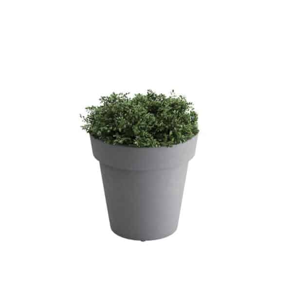 Small Planter