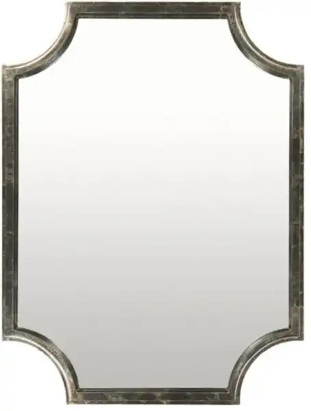 Joslyn Accent Mirror
