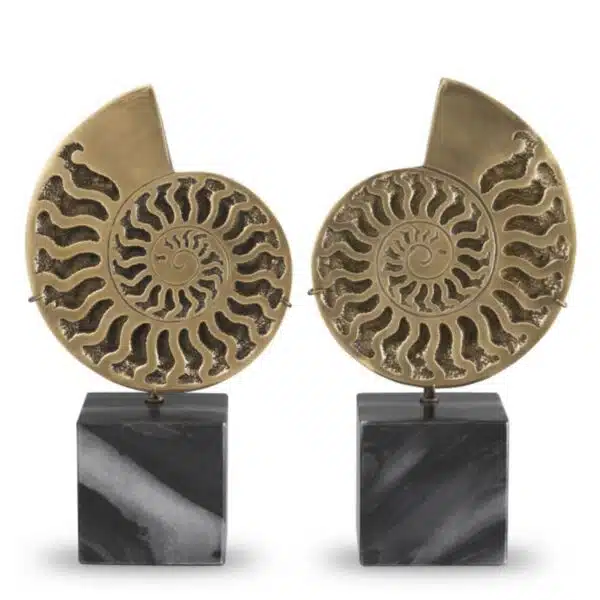 Ammonite Objects, Set of 2