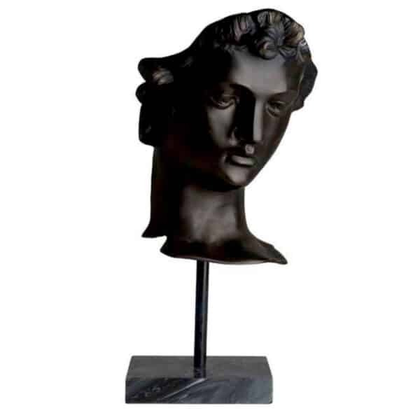 David Head