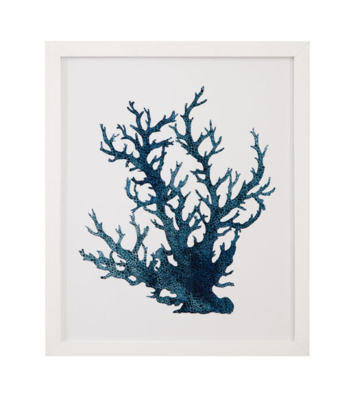Coral Souvenirs IV Framed Print